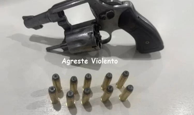 BPRV DETÉM HOMEM POR PORTE ILEGAL DE ARMA NA PE-090, EM VERTENTES