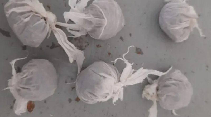 HOMEM É CONDUZIDO À DELEGACIA APÓS SER FLAGRADO COM M@C0NH@ EM CAETÉS