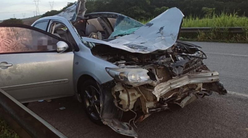 HOMEM M0RR3 APÓS CARRO ATROPELAR CAVALO NA BR-101, EM PALMARES