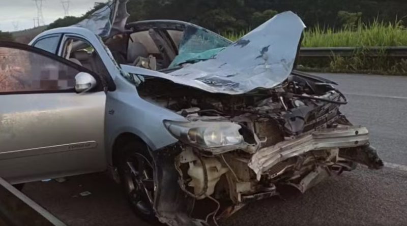 Passageiro m0rr3 e motorista foge após carro atropelar cavalo na BR-101 em Palmares