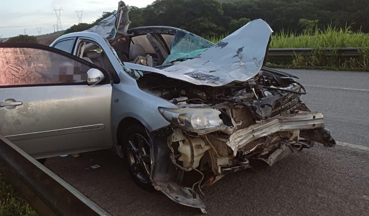 HOMEM MORRE APÓS CARRO ATROPELAR CAVALO NA BR-101, EM PALMARES