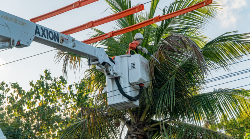 Neoenergia intensifica ações para o inverno e reforça rede elétrica em Pernambuco