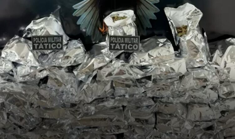 POLÍCIA MILITAR APREENDE 30 QUILOS DE MACONHA EM PETROLINA