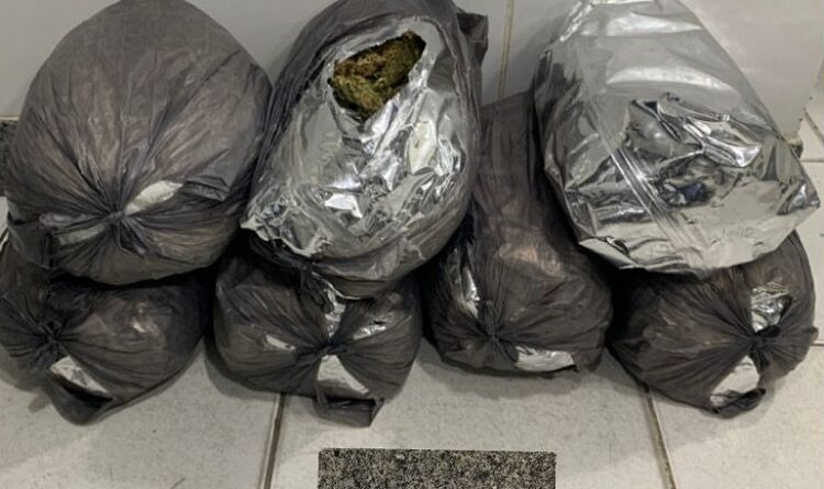 POLÍCIA MILITAR APREENDE 7 KG DE SKANK DURANTE FISCALIZAÇÃO EM ÔNIBUS NA BR-428, EM CABROBÓ