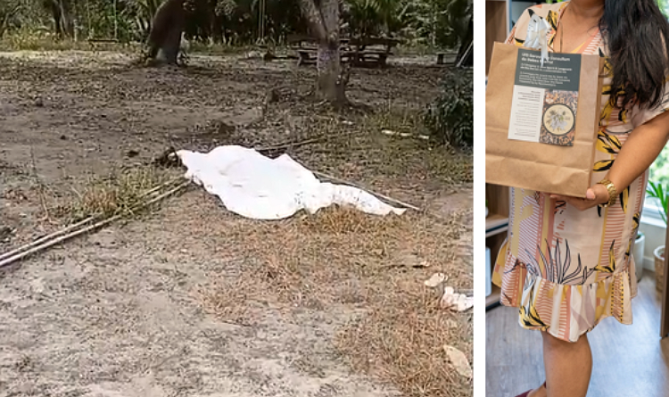 AGENTE DE SAÚDE É ENCONTRADA MORTA COM FERIMENTOS GRAVES NA CABEÇA EM TAMANDARÉ