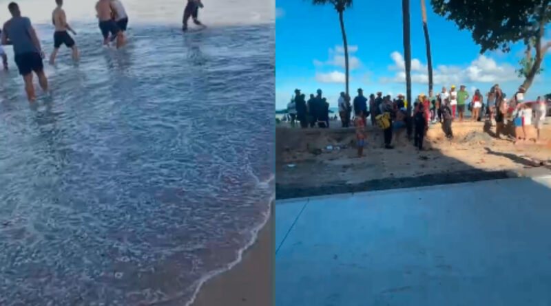 Jovem de 19 anos é atacada por tubarão na Praia de Boa Viagem