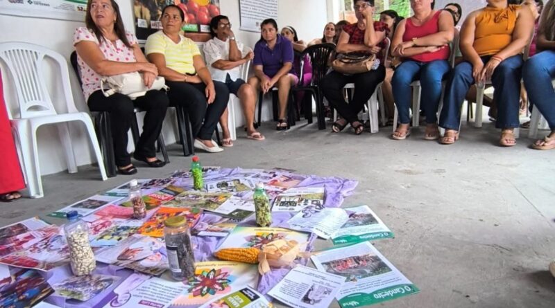 Mulheres do Agreste pernambucano recebem reconhecimento com crédito rural