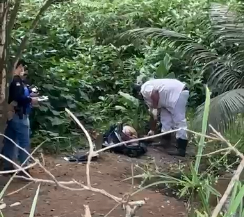 CORPO EM ESTADO DE DECOMPOSIÇÃO É ENCONTRADO EM ÁREA DE MATA PRÓXIMA AO TIP, NO RECIFE