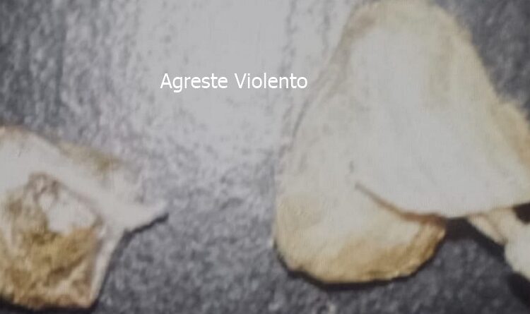 HOMEM FOI DETIDO COM PORÇÃO DE MACONHA DURANTE ABORDAGEM DA ROCAM EM GARANHUNS