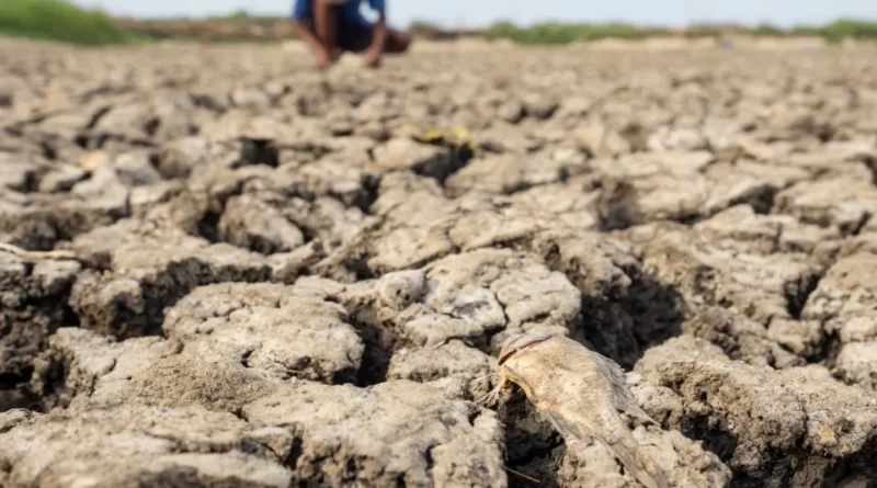 Chance de El Niño muito forte no final do ano sobe para 81%, diz agência americana