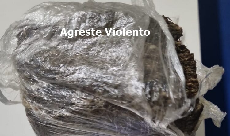 POLÍCIA MILITAR APREENDE 143 GRAMAS DE MACONHA E DINHEIRO EM ÁGUAS BELAS