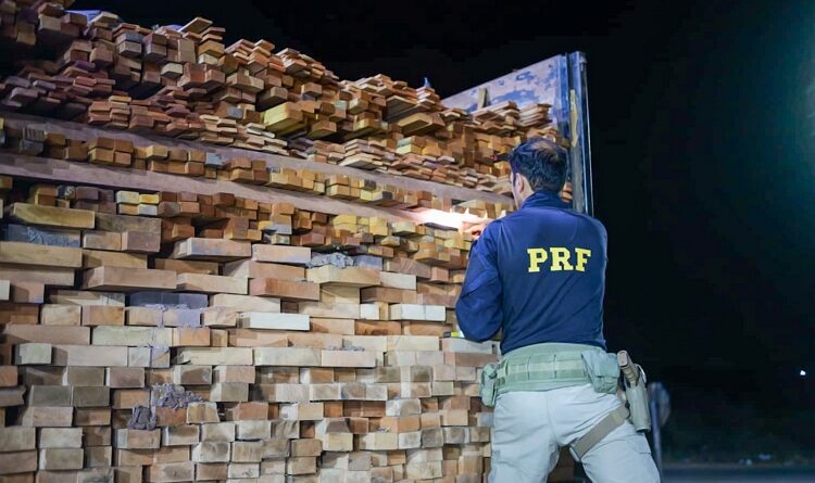 PRF CONCLUI OPERAÇÃO SUMAÚMA II COM FOCO NO COMBATE A CRIMES AMBIENTAIS