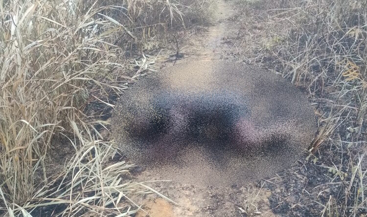 JOVEM DESAPARECIDO É ENCONTRADO MORTO E CARBONIZADO EM CANAVIAL NA ZONA RURAL DE PALMARES