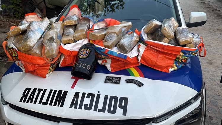 POLÍCIA MILITAR APREENDE 50 QUILOS DE MACONHA EM ÁREA DE MATA EM PAULISTA