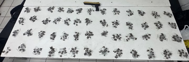 PM PRENDE SUSPEITO DE TRÁFICO E APREENDE MAIS DE 500 PORÇÕES DE MACONHA EM JABOATÃO